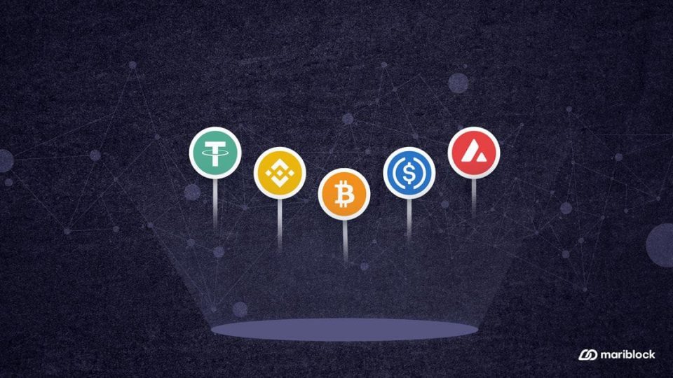 stablecoins-grossed-more-transaction-volume-than-visa-in-2024