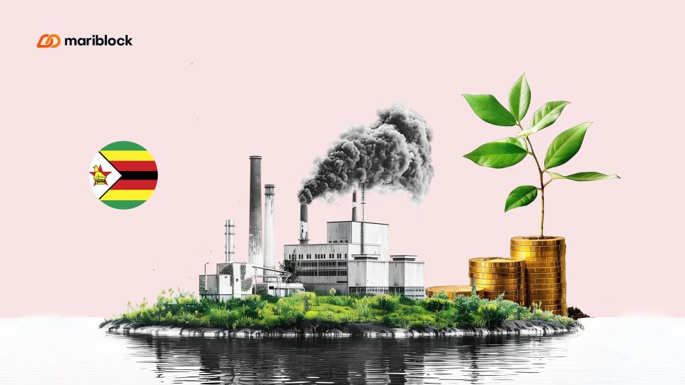 zimbabwe-launches-blockchain-based-carbon-credits-trading-registry